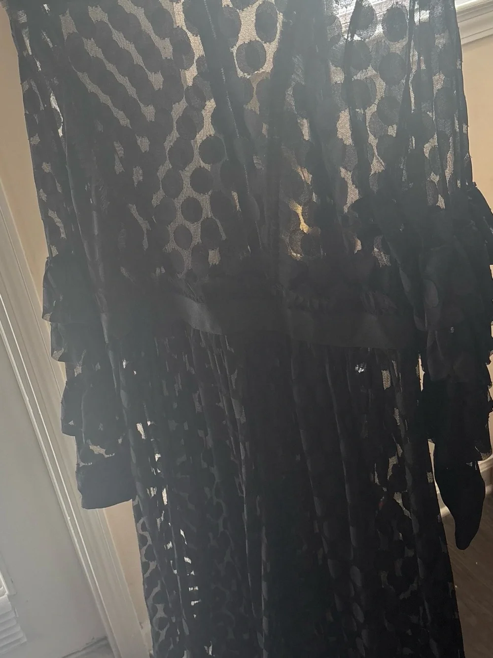 Plus Size Black Sheer Polka Dot Maxi Dress with Ruffle Hem - Picture 3 of 3